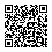 QR code linking to https://deploy-preview-729--hugothemes.netlify.app/themes/hugo-theme-yue/