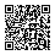 QR code linking to https://deploy-preview-729--hugothemes.netlify.app/themes/hugo-theme-techdoc/