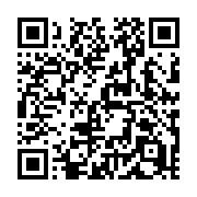 QR code linking to https://deploy-preview-729--hugothemes.netlify.app/themes/kraiklyn/